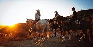 Rider on a ridge overlooking a valley at sunset.