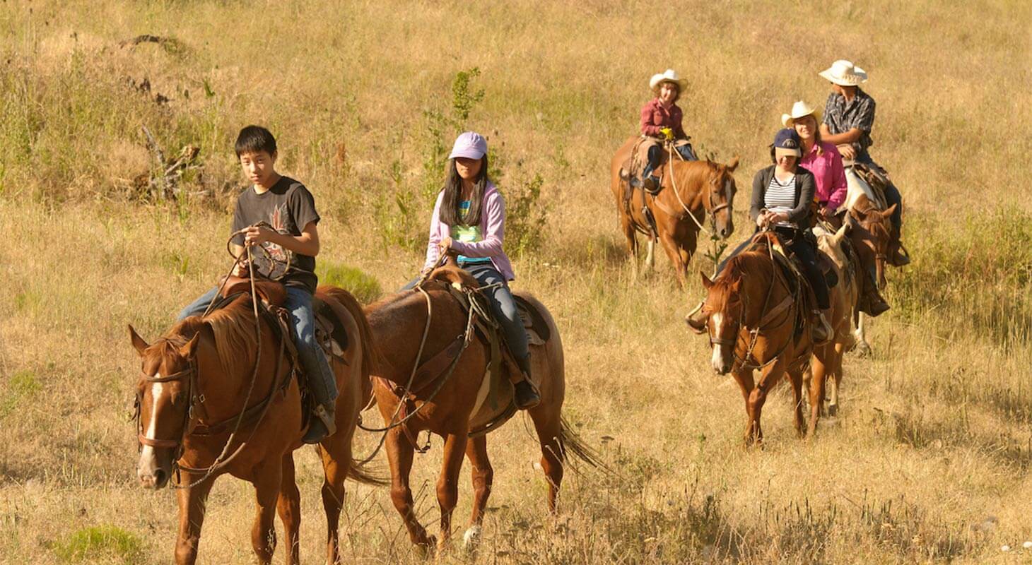 A large group of people on horseback ready for a tour.